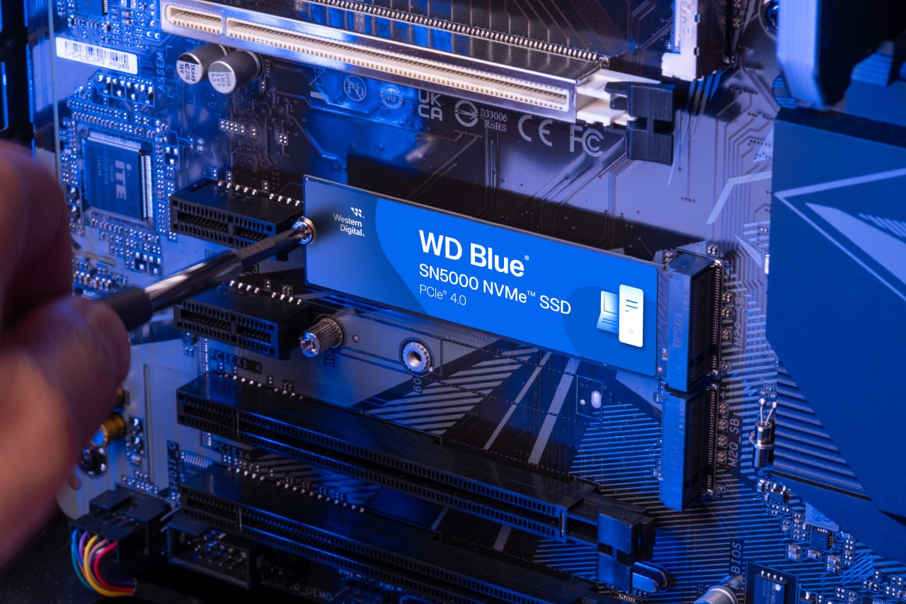 WD Blue SN5000 SSD en Chile