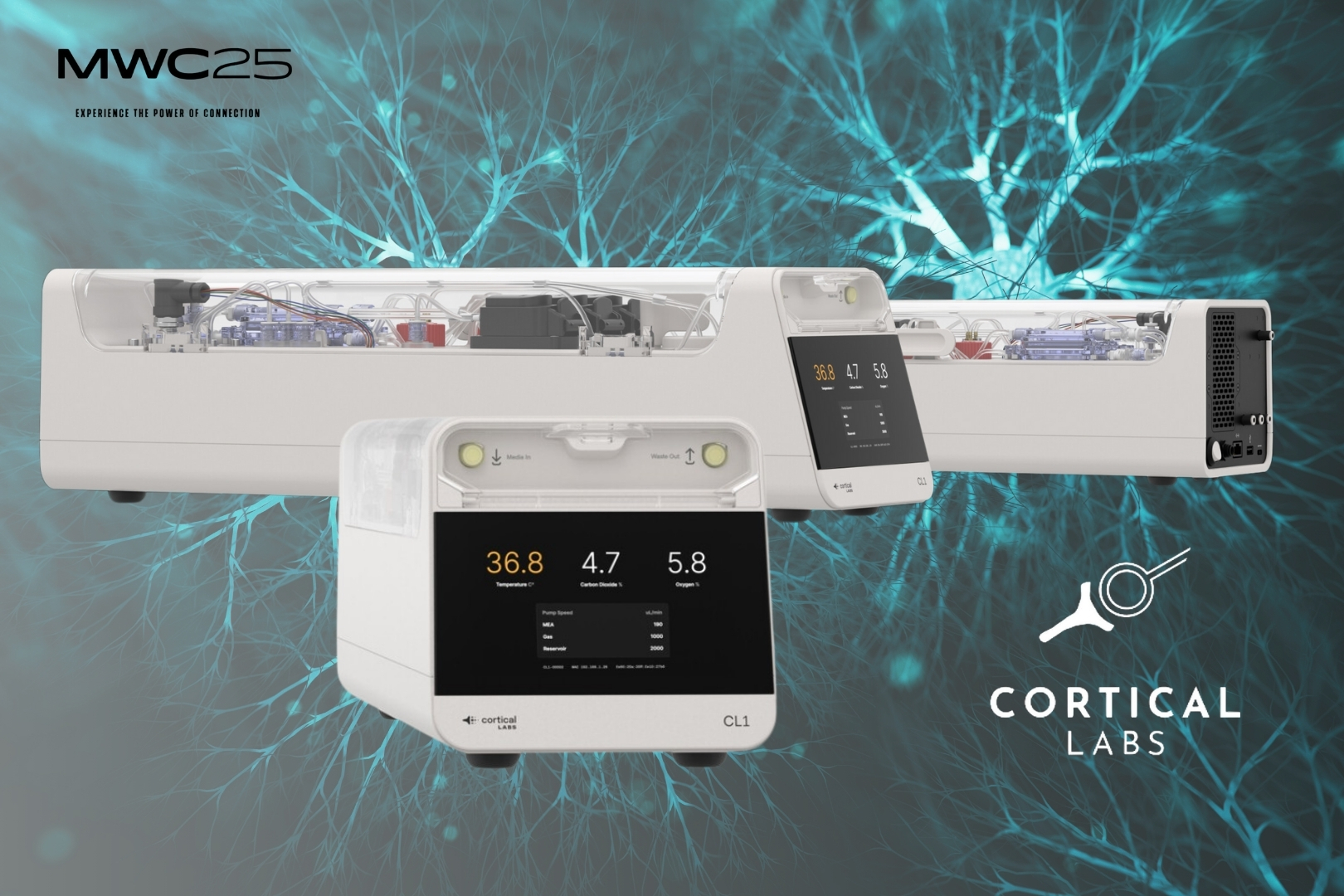 CL1, el primer computador biológico comercial - Computación Neuromórfica - Cortical Labs