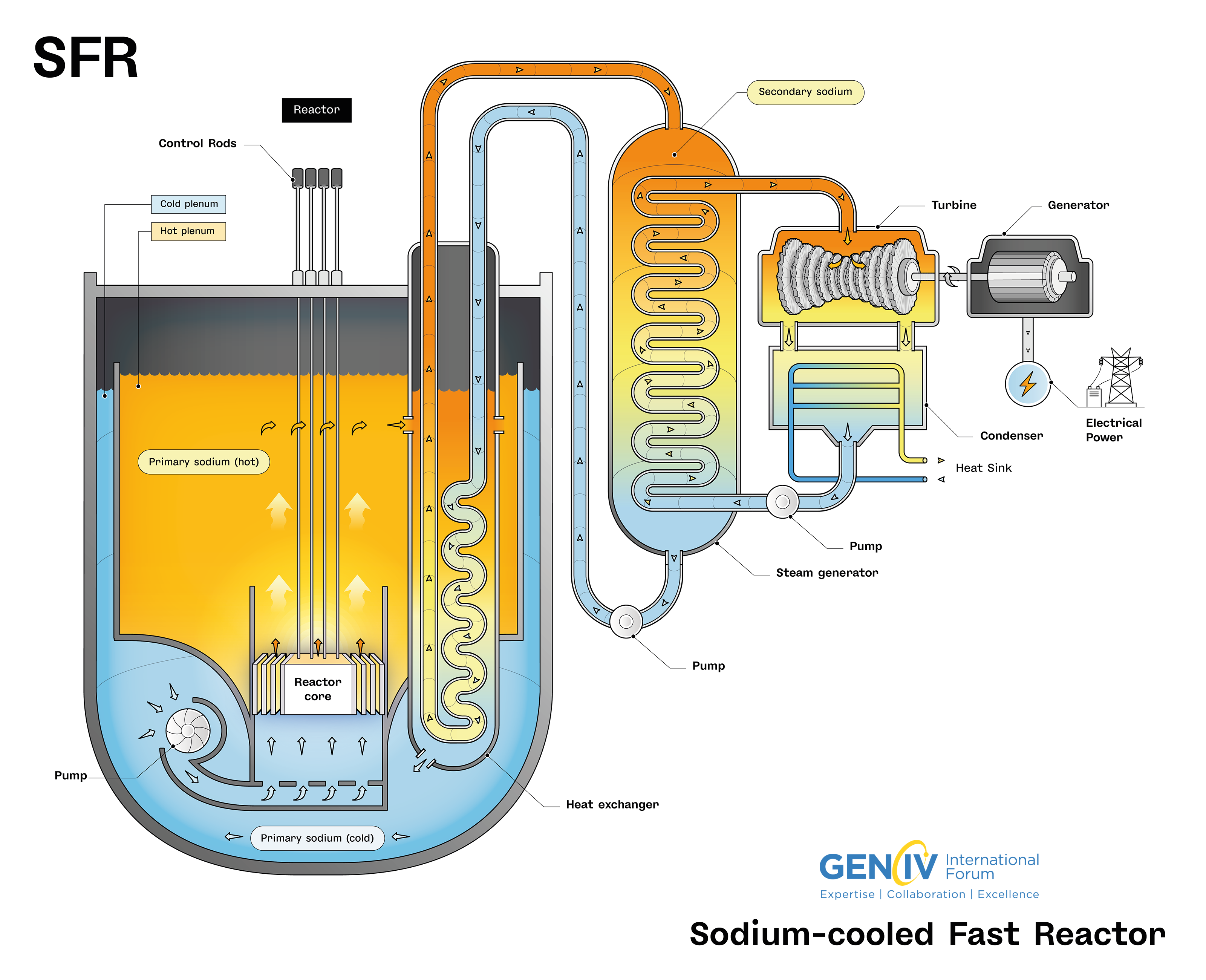 Reactor rápido enfriado con sodio (SFR): Utiliza sodio líquido como refrigerante y opera en un régimen de neutrones rápidos, lo que permite un ciclo de combustible cerrado y un mejor aprovechamiento del uranio.