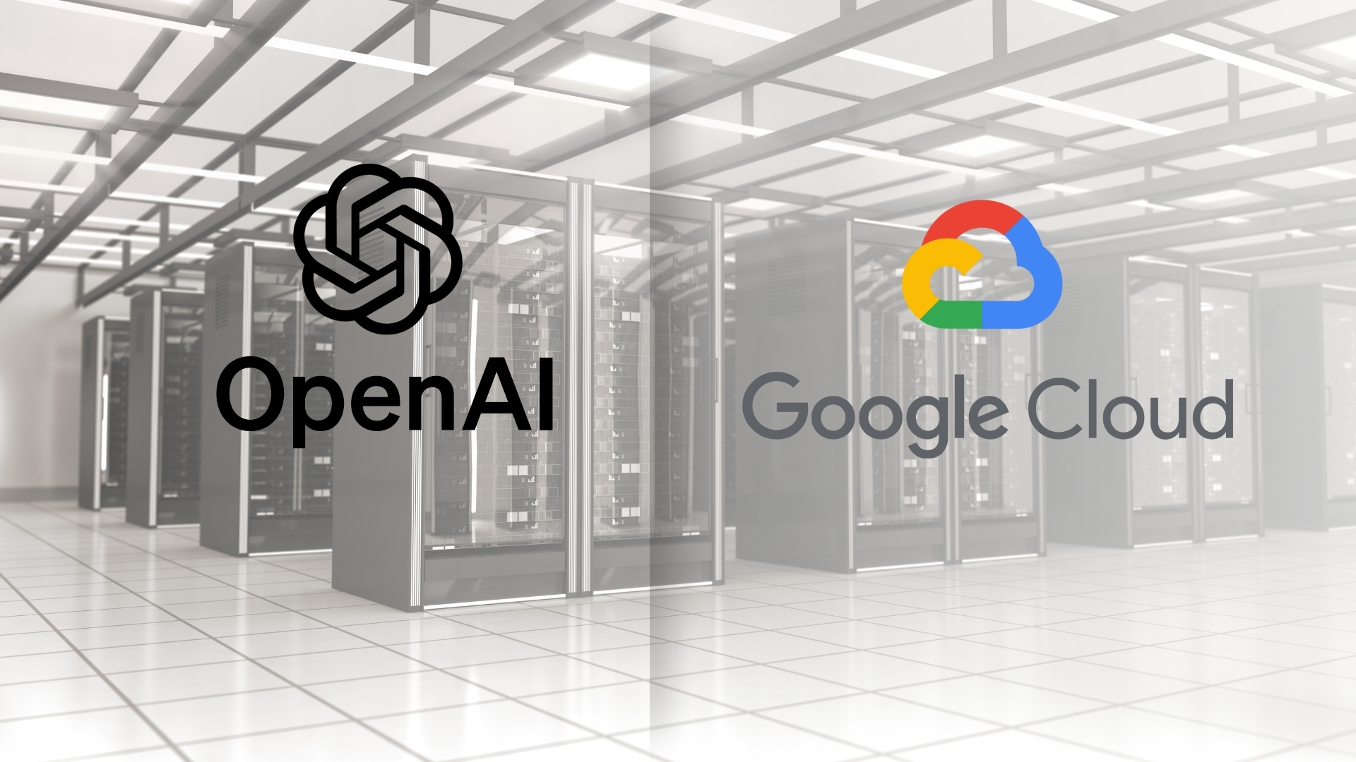 TPU GOOGLE OPEN AI