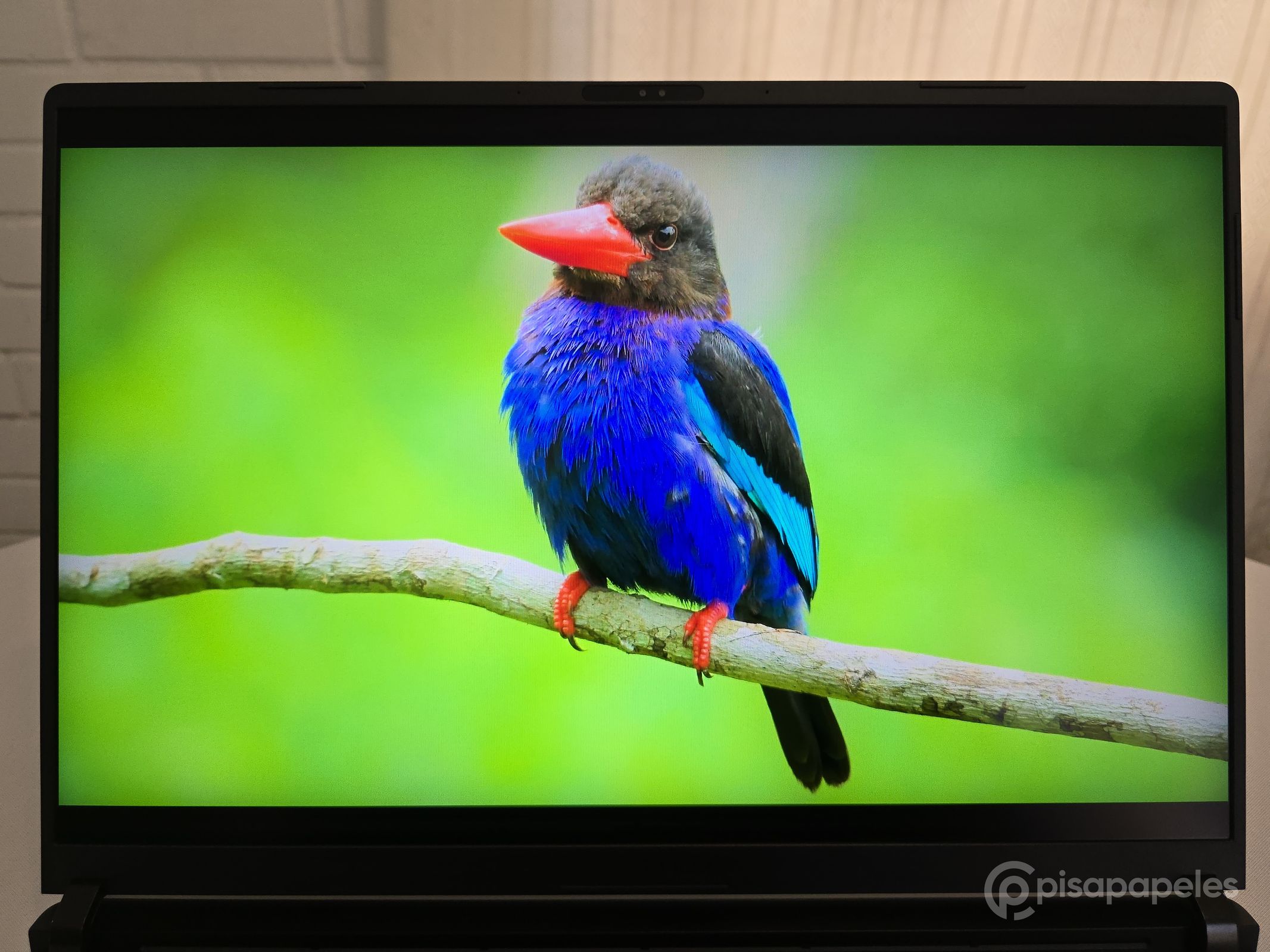 ASUS ROG Strix SCAR 18 del 2025 Pisapapeles 48