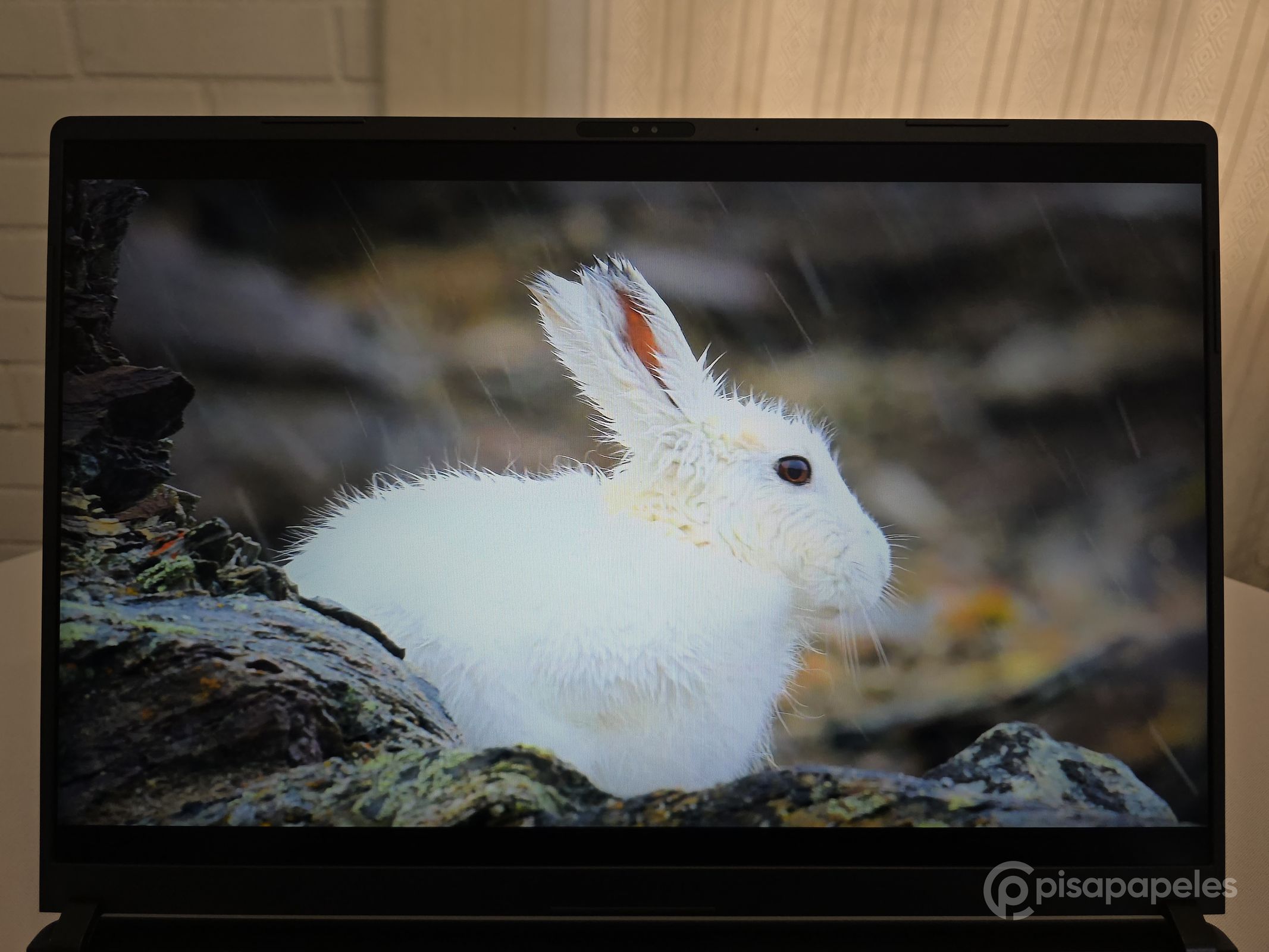 ASUS ROG Strix SCAR 18 del 2025 Pisapapeles 49