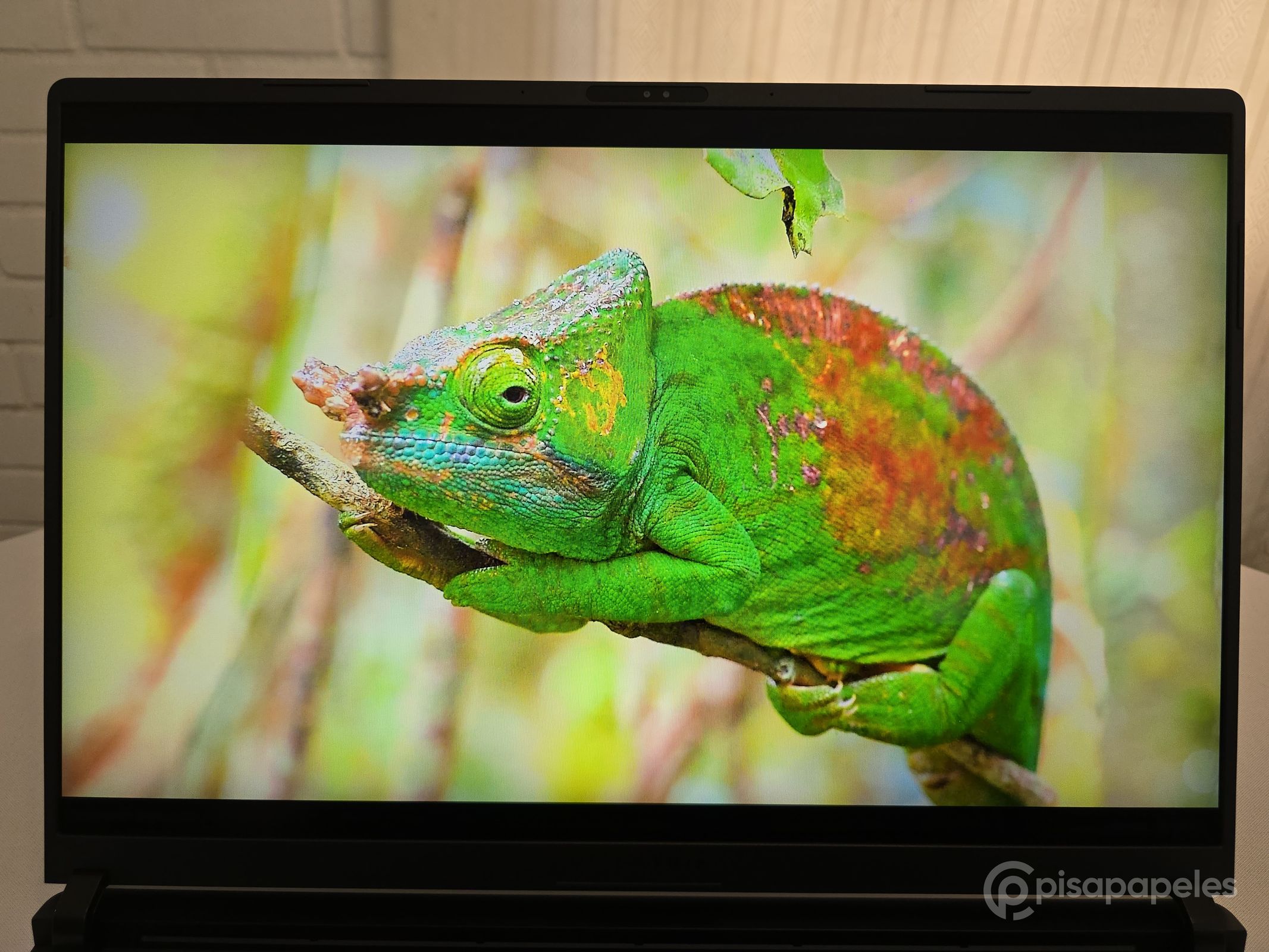 ASUS ROG Strix SCAR 18 del 2025 Pisapapeles 52