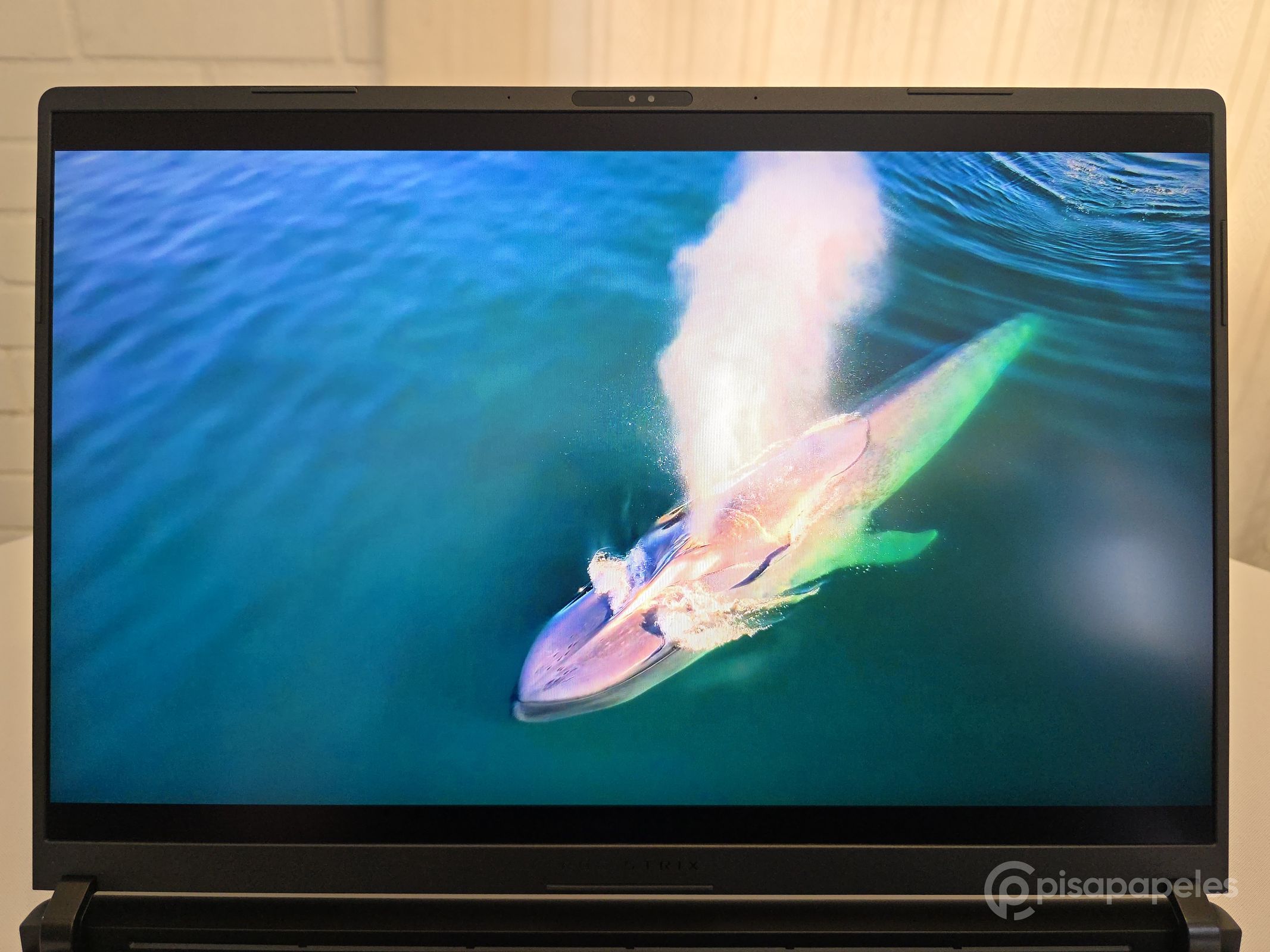 ASUS ROG Strix SCAR 18 del 2025 Pisapapeles 54