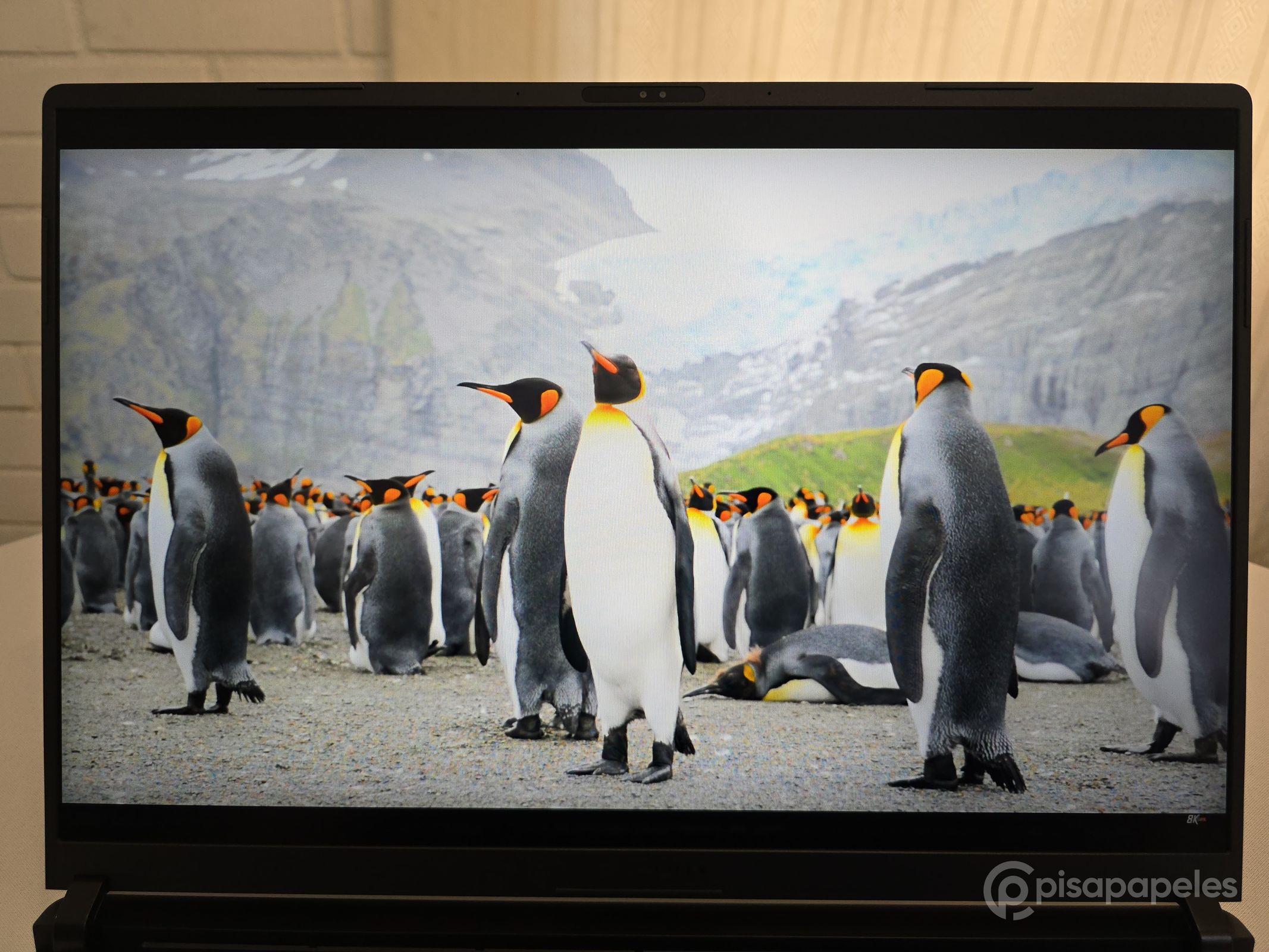 ASUS ROG Strix SCAR 18 del 2025 Pisapapeles 56