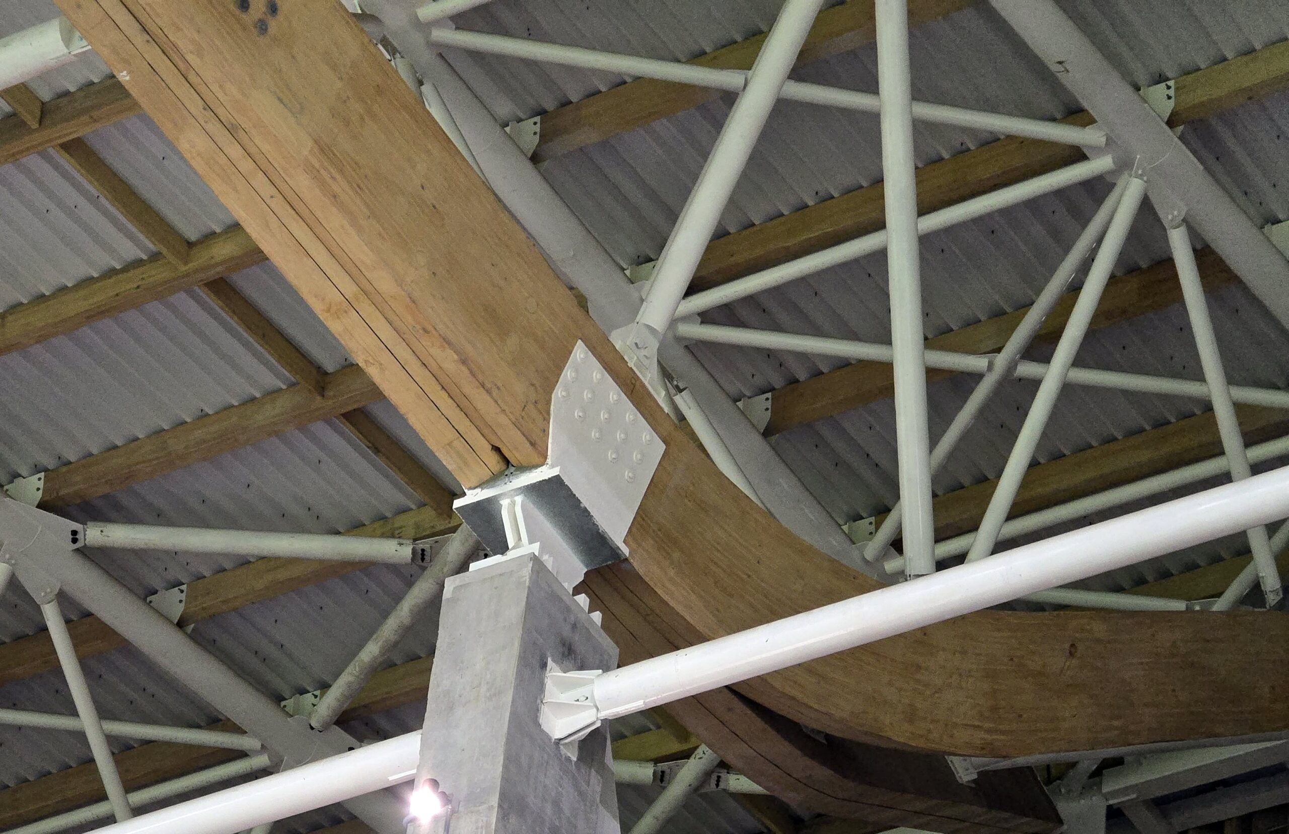 Vigas de madera laminada fabricadas por CMPC Maderas – Niuform | Fotografía Créditos: Pisapapeles