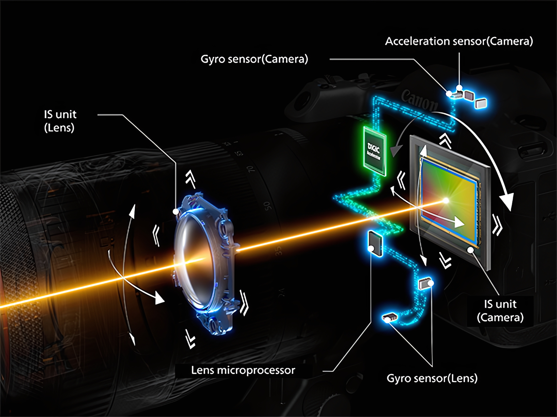 Sistema de estabilización de 5 ejes de la Canon EOS R6 Mark III | Créditos: Canon