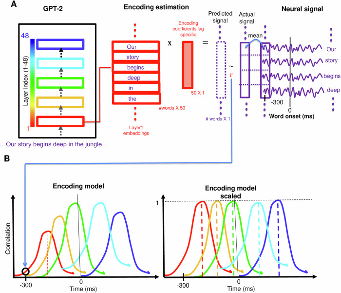Esquema del modelo de codificación por capas. Se extraen incrustaciones contextuales de cada capa del LLM (GPT-2 XL o Llama-2) para cada palabra de la narración. Estas representaciones se utilizan para entrenar modelos lineales que predicen la actividad neuronal registrada mediante ECoG en diferentes desfases temporales relativos al inicio de la palabra. | Créditos: Nature