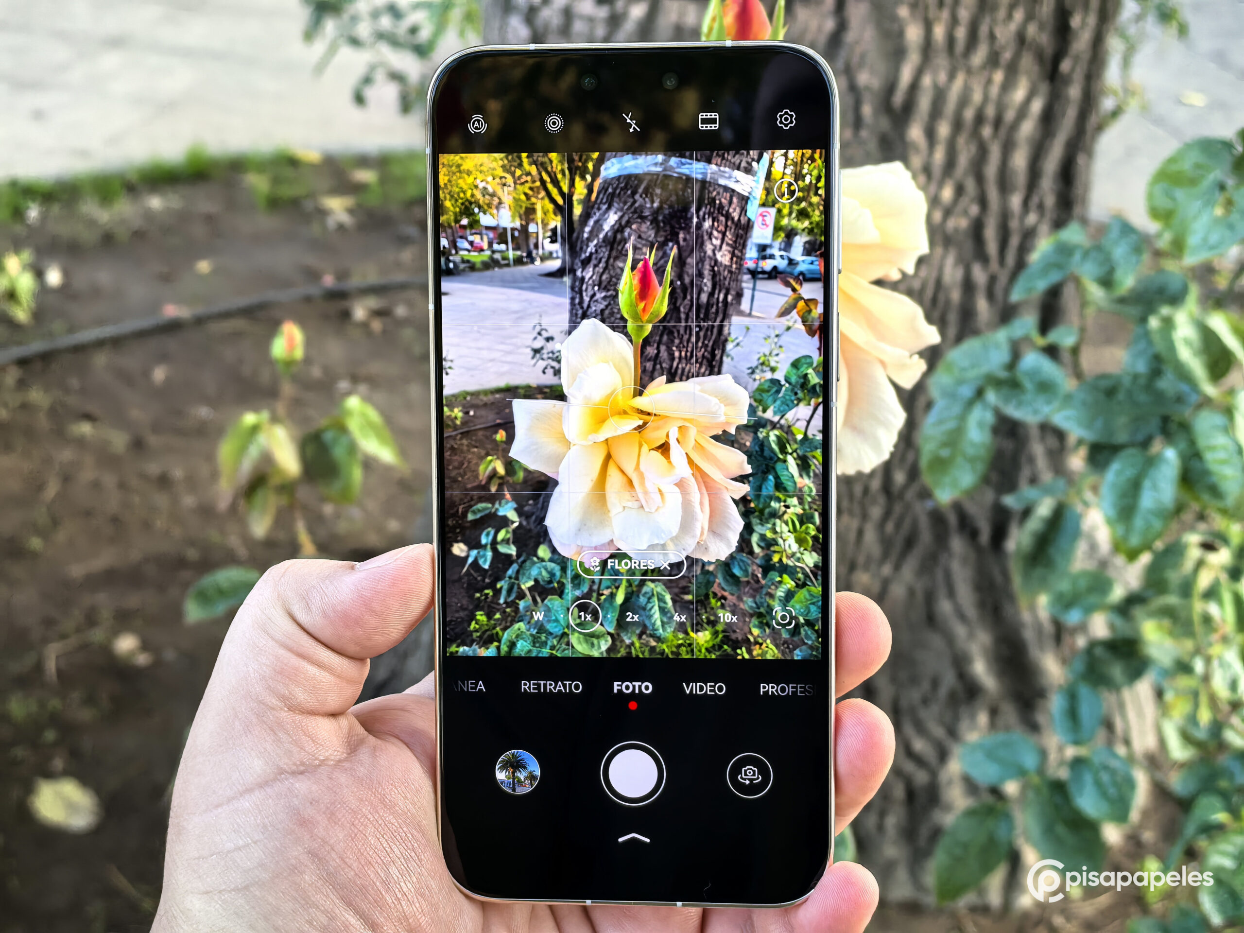 Mate 80 Pro