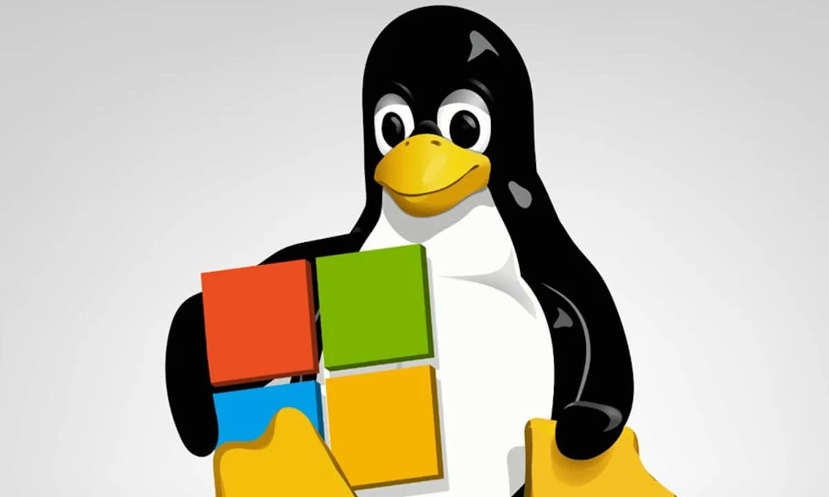 Linux en Windows 11 foto 1